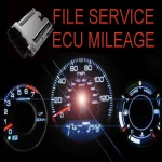 ECU FILE MILEAGE CORRECTION
