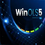 CORSO AVANZATO RIMAPPATURA CENTRALINE CON WINOLS